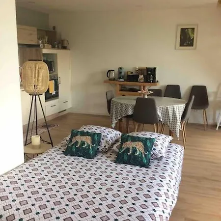 Logement Entier Au Bord De La Charente Апартаменты Рошфор